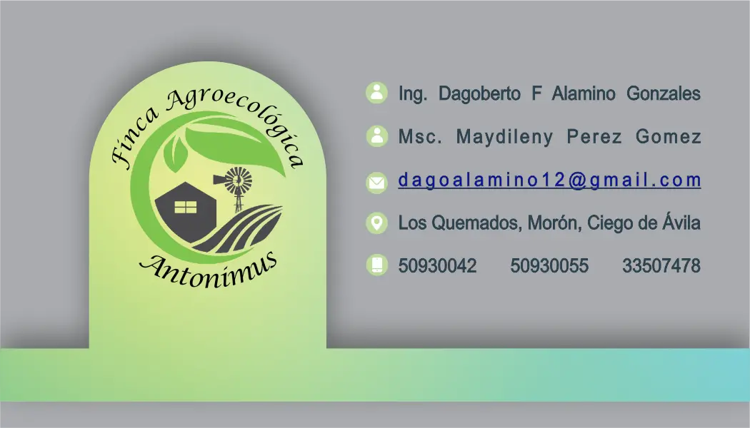 Tarjeta de presentación Antonimus